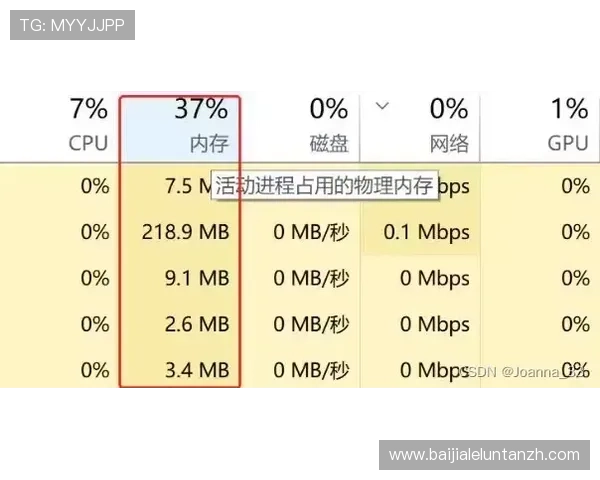 迈博真人会员登录流程详解及常见问题解决方案，确保顺利进入游戏体验